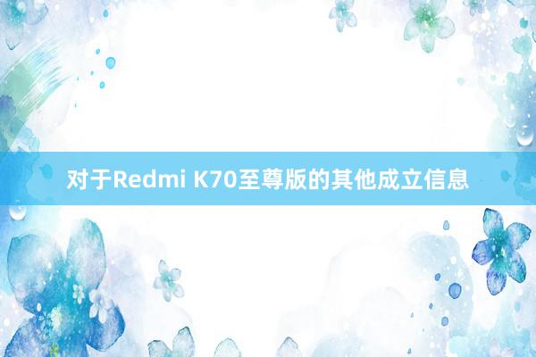 对于Redmi K70至尊版的其他成立信息